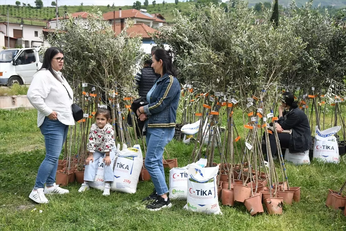 TİKA, Arnavutluk'ta İhtiyaç Sahibi Ailelere Zeytin Fidanı ve Gübre Hibe Etti