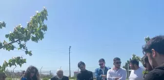 Tokat Gaziosmanpaşa Üniversitesi'nde Meyve Ağaçları Eğitimi Tamamlandı