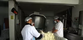 Cimitekke Belde Belediyesi'nden Süt İşleme Tesisi