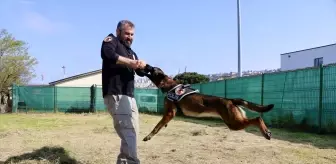 Trabzon'un Narkotik Dedektör Köpekleri Maya ve Liya, Uyuşturucu Operasyonlarında Başarı Elde Etti