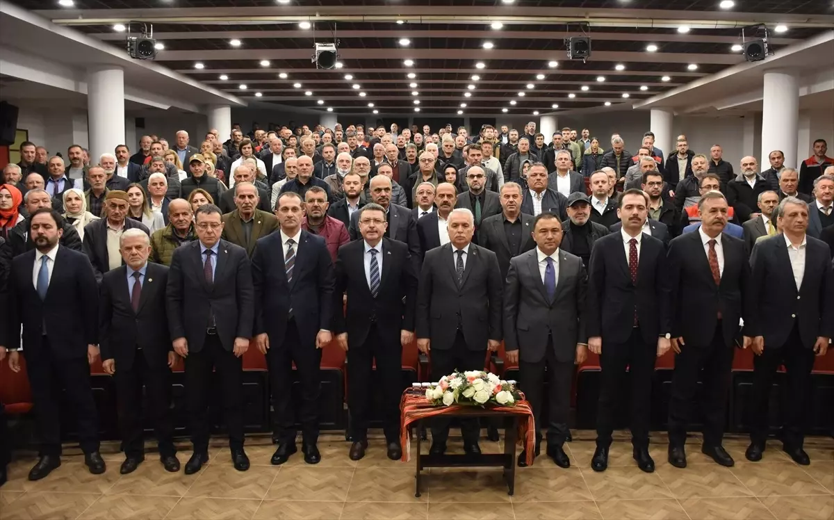 Trabzon'da Kahverengi Kokarca ile Mücadele İçin 6 Bin 550 Feromon Tuzak Asılacak