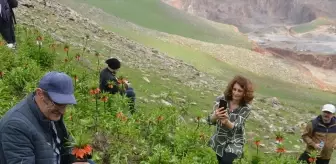 Trabzonlu Fotoğraf Tutkunları Ters Laleleri Görüntülemek İçin Muş'a Tırmandı