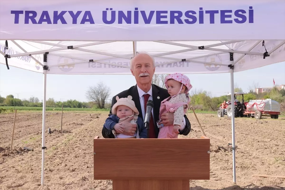 Trakya Üniversitesi'nde Fidan Dikme Etkinliği