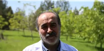 Melezleme ile Elde Edilen Ceviz Türleri Soğuktan Etkilenmedi