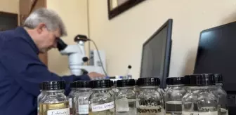 Yeni Sülük Türleri Dünya Literatürüne Kazandırıldı