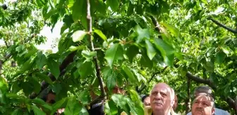 İklim Değişikliği Zirayı Zorluyor: TZOB Başkanı Bahçeleri İnceledi