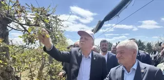 Zirai Don Felaketi: Üreticiler Zorda