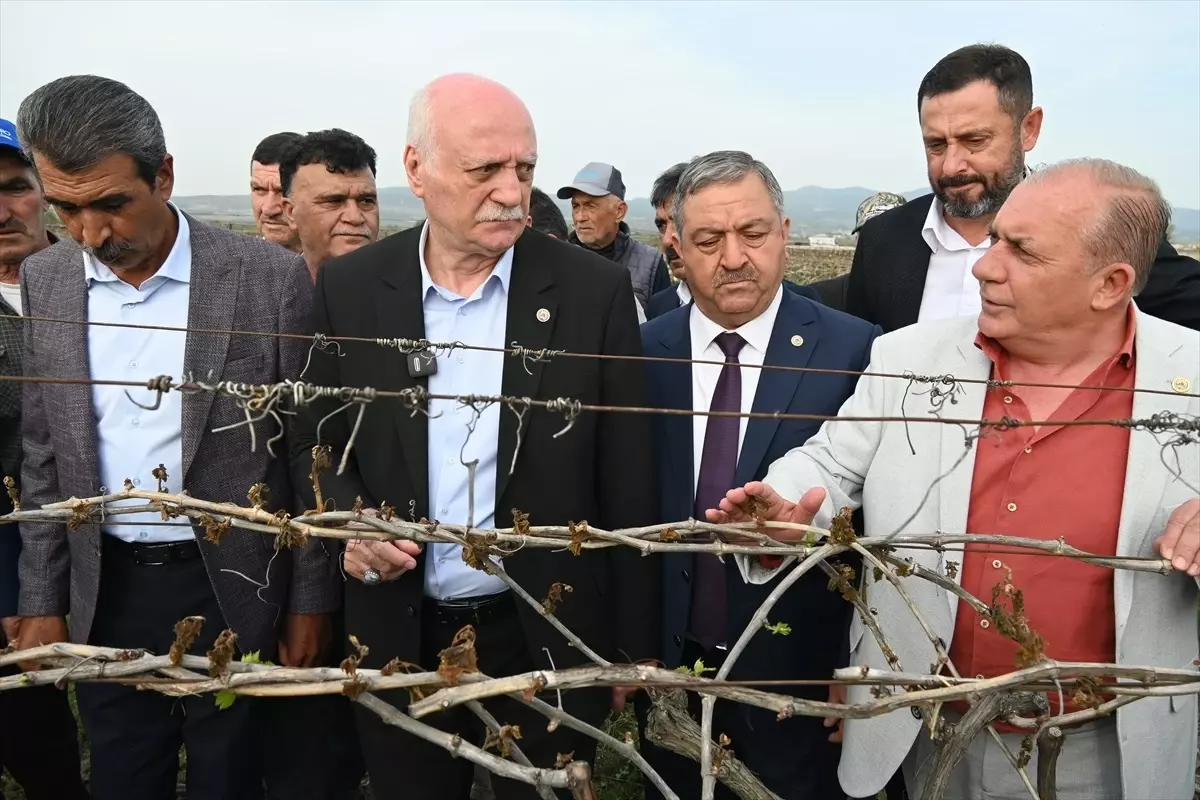 Zirai Don Zararları Artıyor: TZOB Başkanı İncelemelerde Bulundu