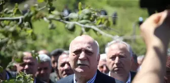 Zirai Don Fındık Bahçelerinde Büyük Zarar Yarattı