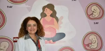 Anne Sütü Bebekler İçin En İdeal Besin