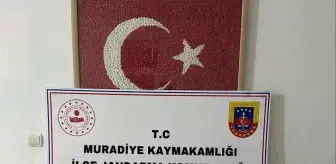 Van'da Gümrük Kaçağı 3 Bin 140 Paket Sigara Ele Geçirildi