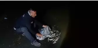 Van'da Kaçak İnci Kefali Avına 59 Bin Lira Ceza