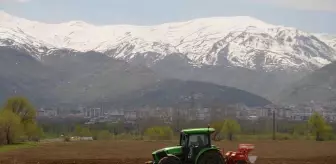 Muş'ta Çiftçiler Ekim İçin Tarlalara İndi