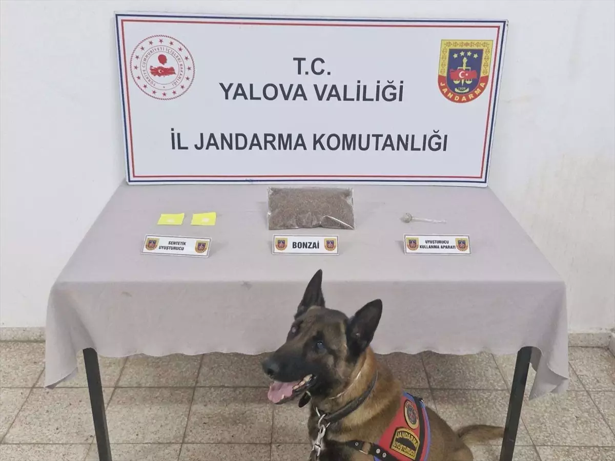 Yalova'da Uyuşturucu Operasyonu: Bir Kişi Tutuklandı