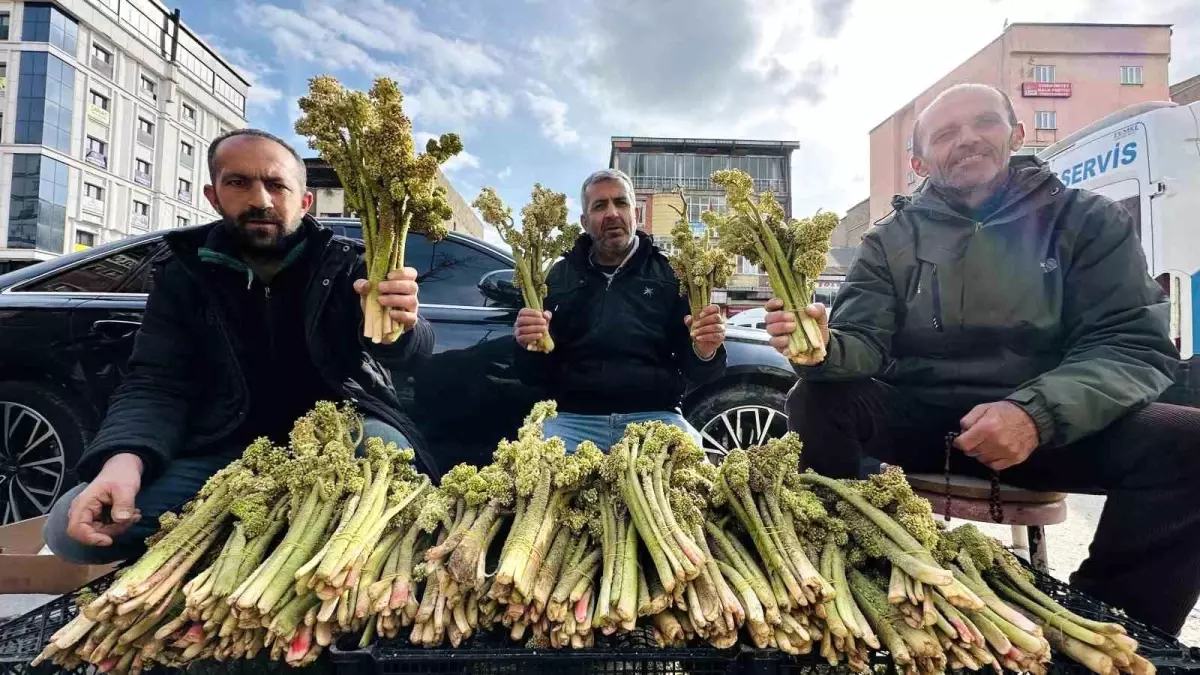 Yüksekova'da Yayla Muzu Satışı Başladı