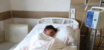 Kars'ta Deli Bat Bat Otu Zehirlenmesi: 8 Çocuktan 6'sı Taburcu Edildi