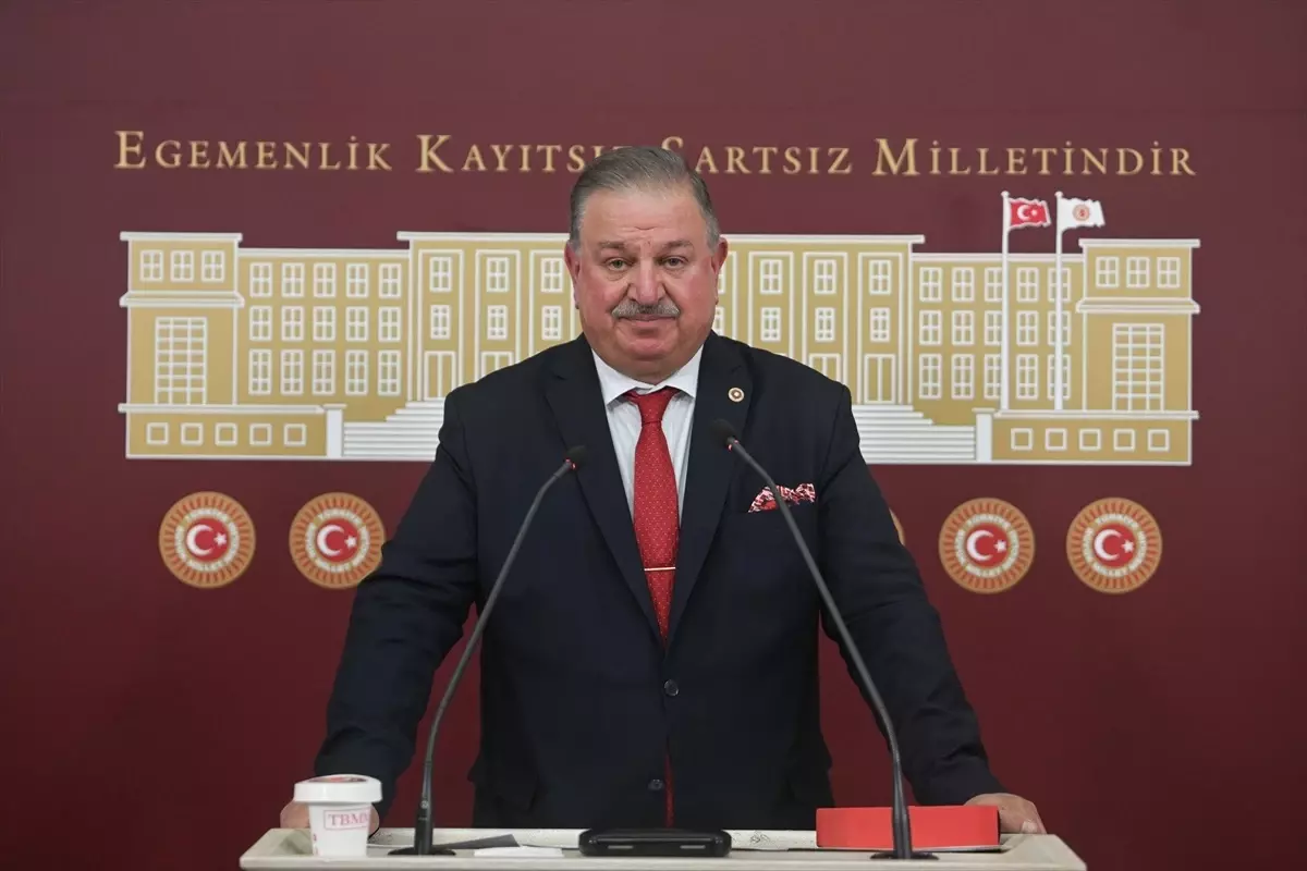 Doğan Bekin'den Hükümete TDT ve D-8 Teşkilatları İçin Çağrı