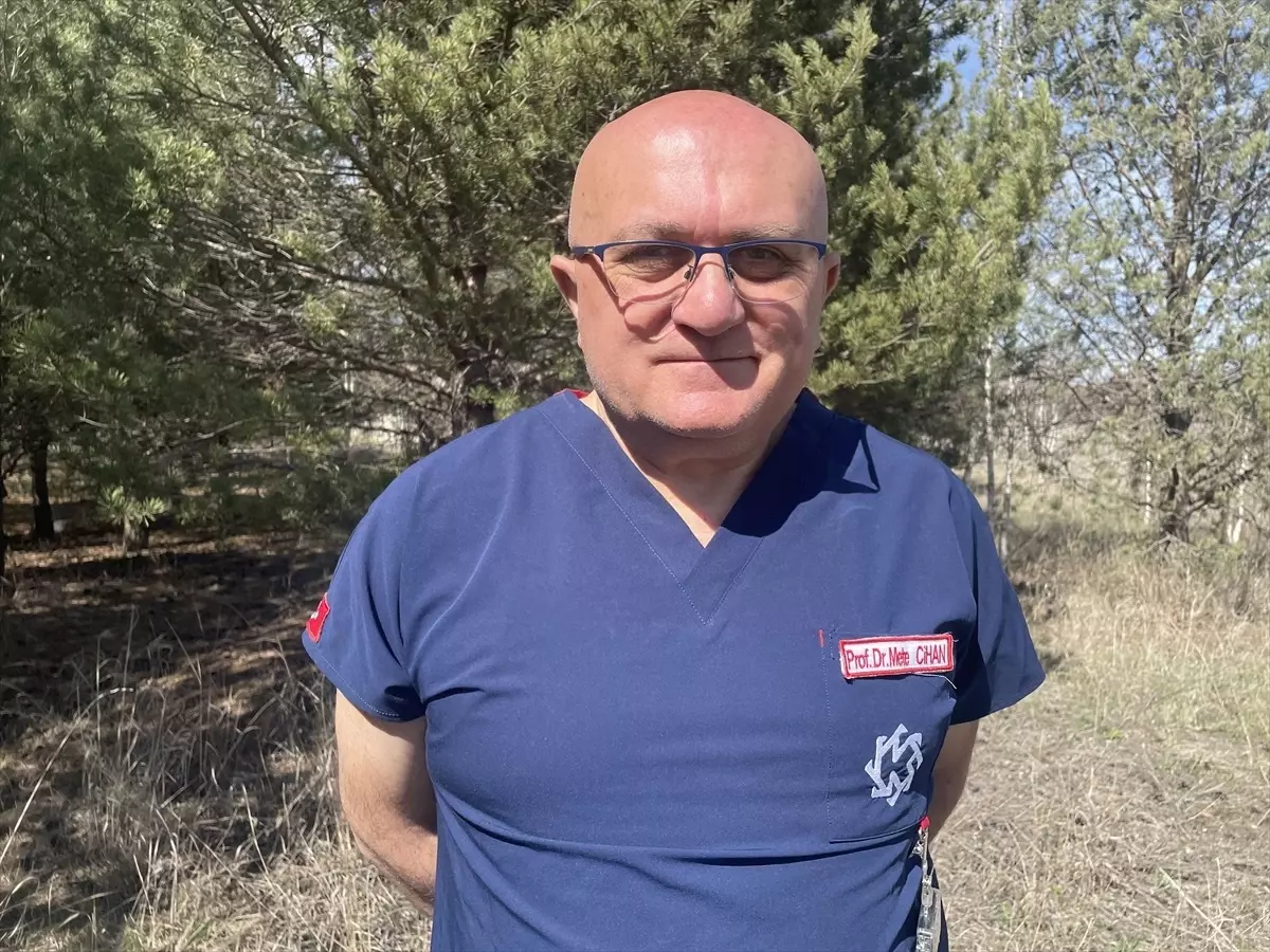 Bozayılar Sarıkamış'ta Yiyecek Arayışında: Uzmanlardan Uyarı