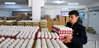 Yumurta fiyatları yapılan düzenlemelerin ardından normal seviyeye döndü