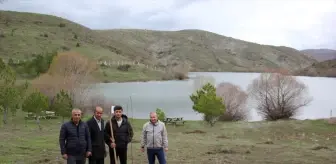 Sivas'ın Zara ilçesinde Kayısı Bahçeleri Kuruldu