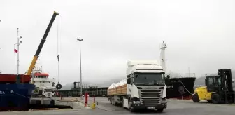 Bozhane Limanı Tam Kapasiteyle Hizmete Girdi