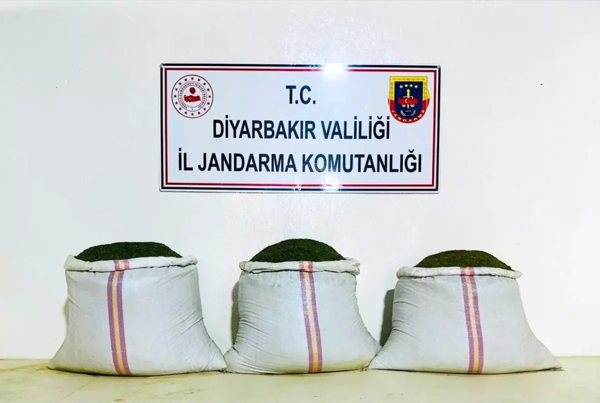 Diyarbakır'da Uyuşturucu Operasyonu: 18 Bin Kök Kenevir Ele Geçirildi