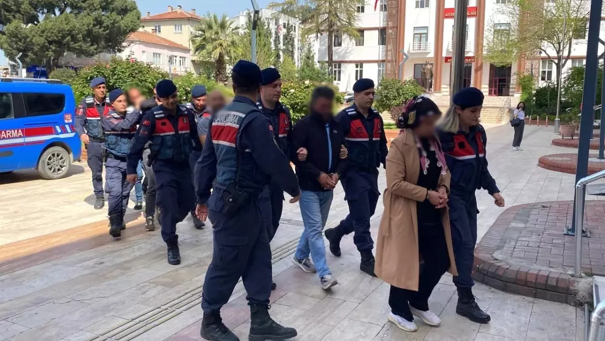 Aydın'da Sertifikasız Civciv Üretimi: 5 Gözaltı