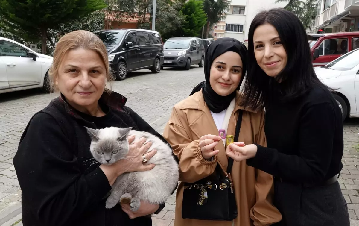 Kayıp Kedi 'Badem' 10 Günün Ardından Bulundu
