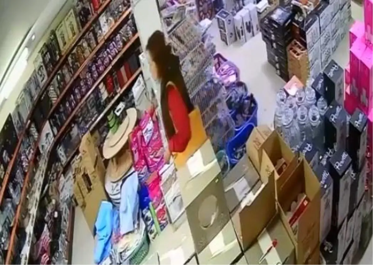 Milas'ta Hırsızlık Anı Güvenlik Kamerasında