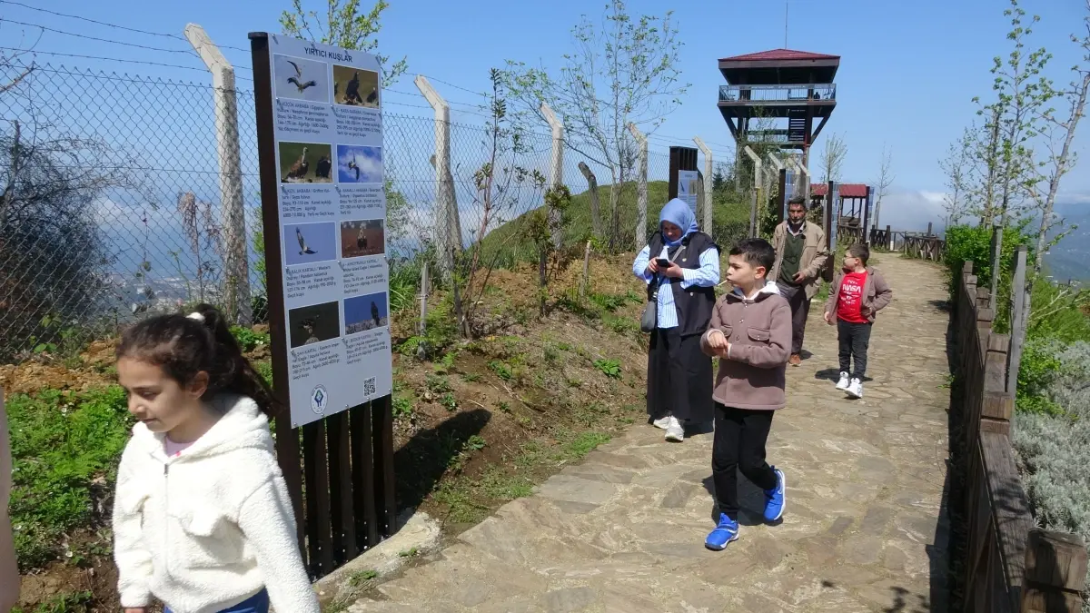 Rize'de Kuş Gözlemi: 12 Yırtıcı Tür Tespit Edildi