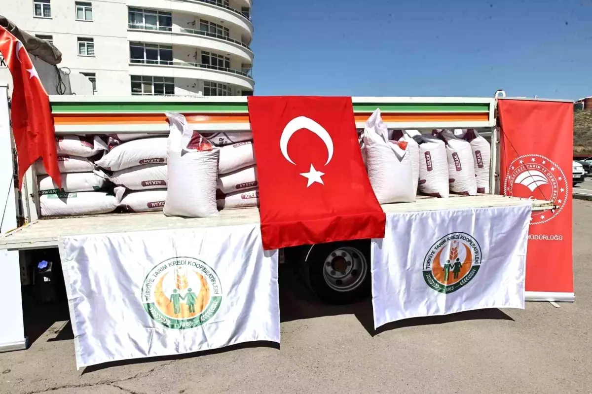 Sivas'ta Çiftçilere 285 Ton Nohut Tohumu Desteği