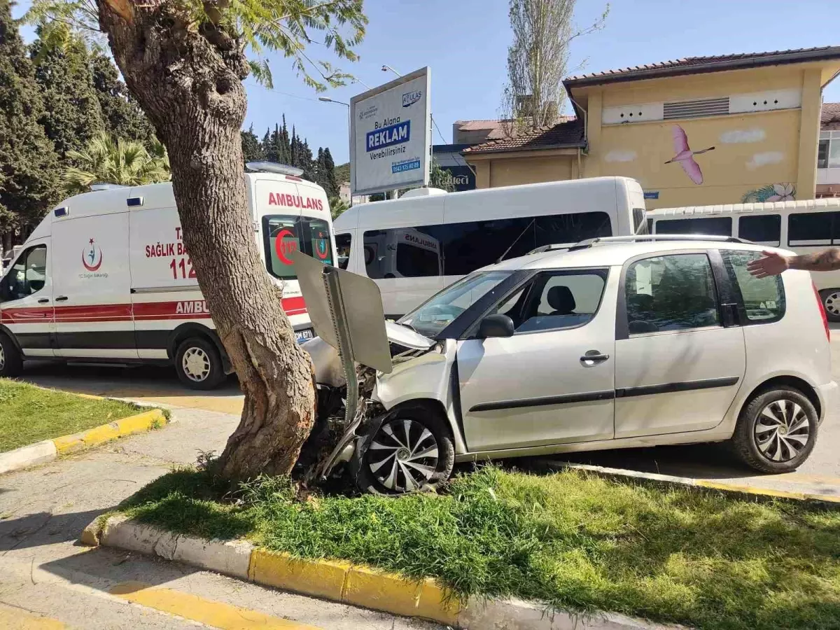 Kuşadası'nda 80 Yaşındaki Sürücü Ağaçla Çarpıp Yaralandı