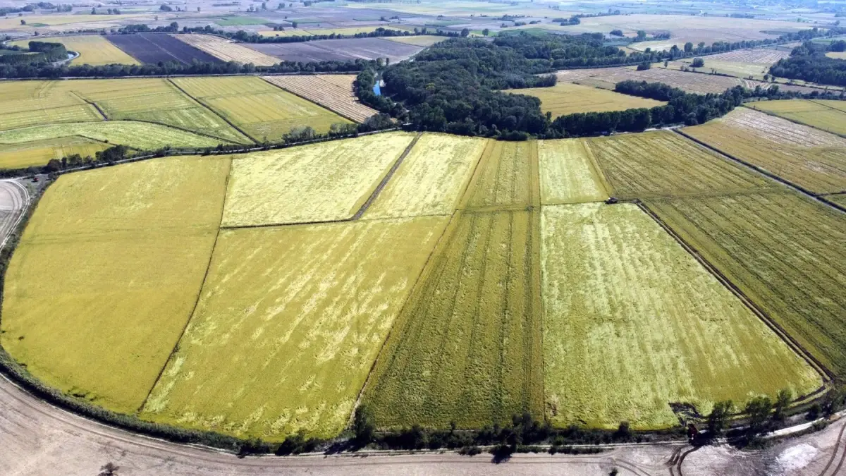 Edirne'de Tunca Nehri Temizlik ve Su Biriktirme Çalışmaları Başlatıldı