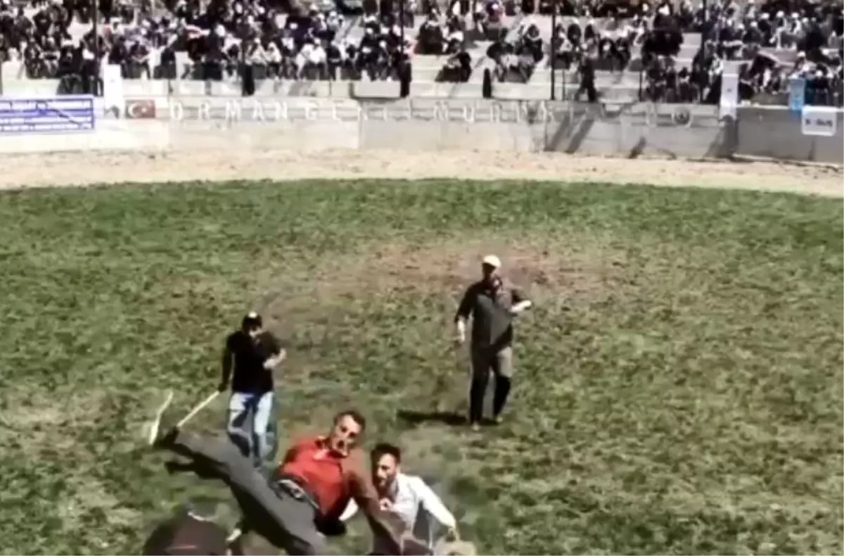 Derekapı Boğa Güreşleri'nde Bakıcıya Boynuz Darbesi