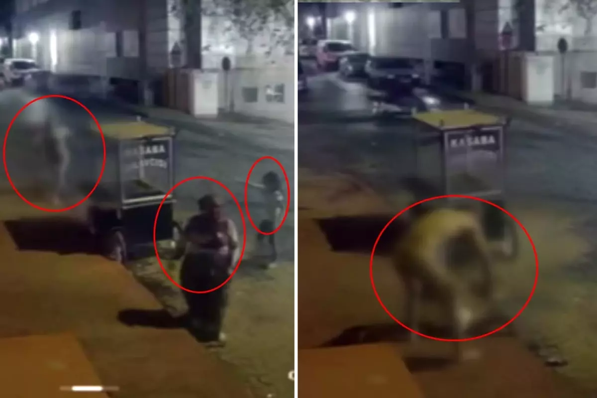 Eşini öldürdü, 8 yaşındaki kızını da yaraladı! Dehşet anları saniye saniye kamerada