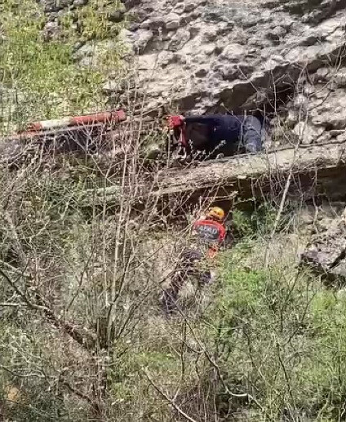 Karabük'te Yüksekten Düşen İnek Vinçle Kurtarıldı