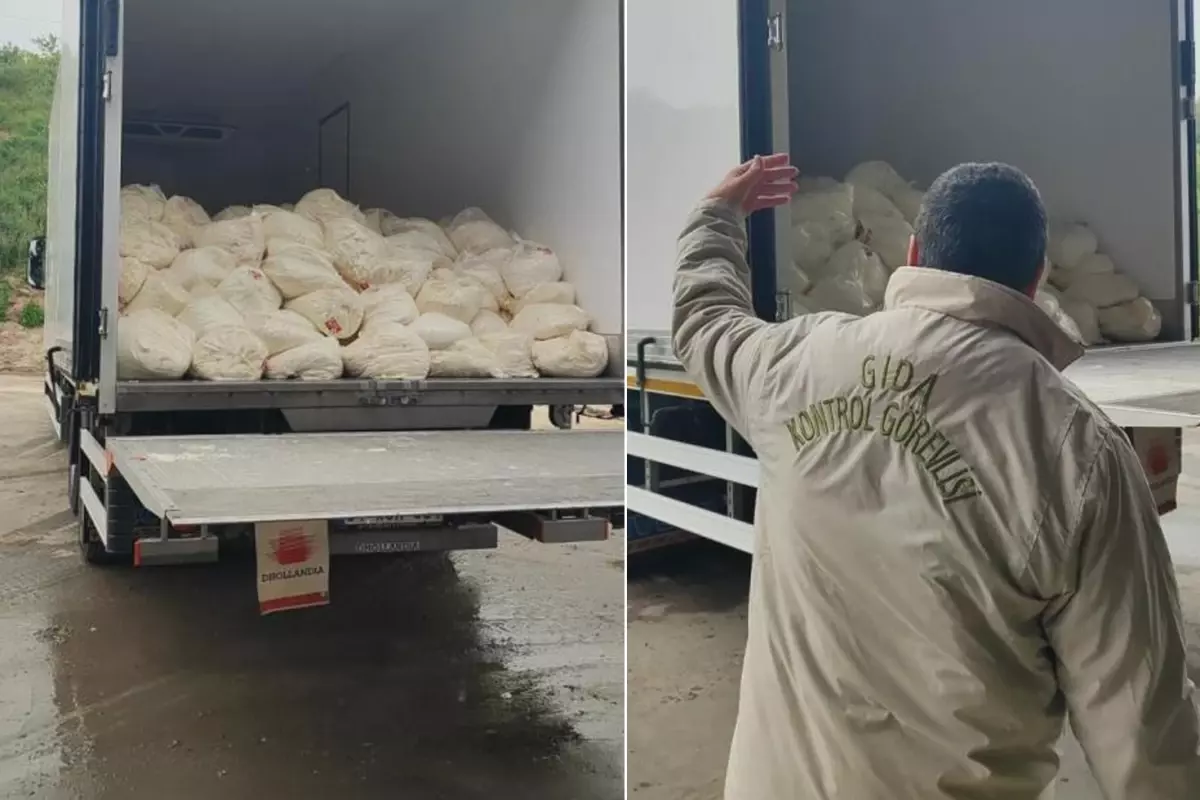 23 ton tarihi geçmiş lor peyniri ele geçirildi
