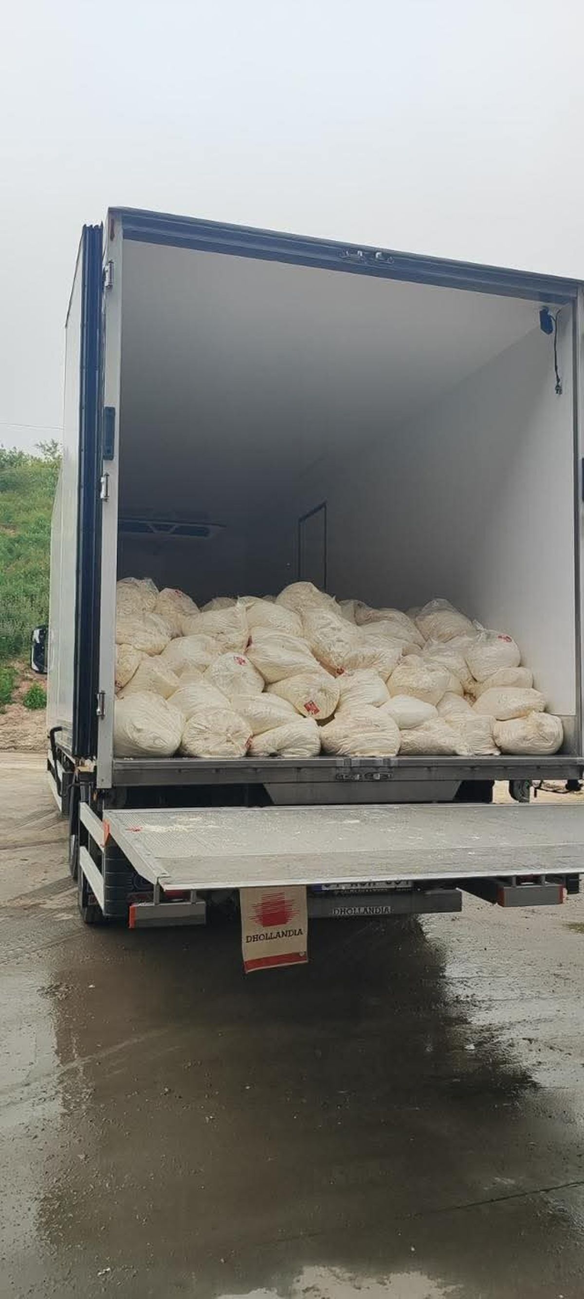 Sakarya'da Son Tüketim Tarihi Geçmiş 23 Ton Lor Peyniri Ele Geçirildi