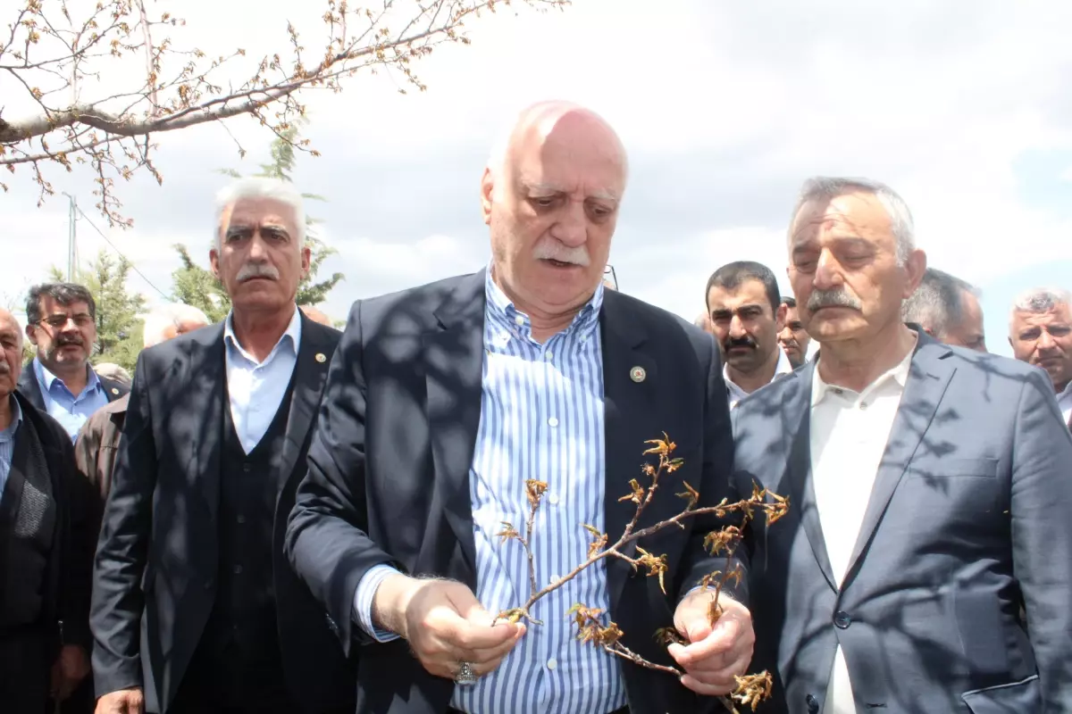 Çiftçilere Acil Kredi Desteği İhtiyacı