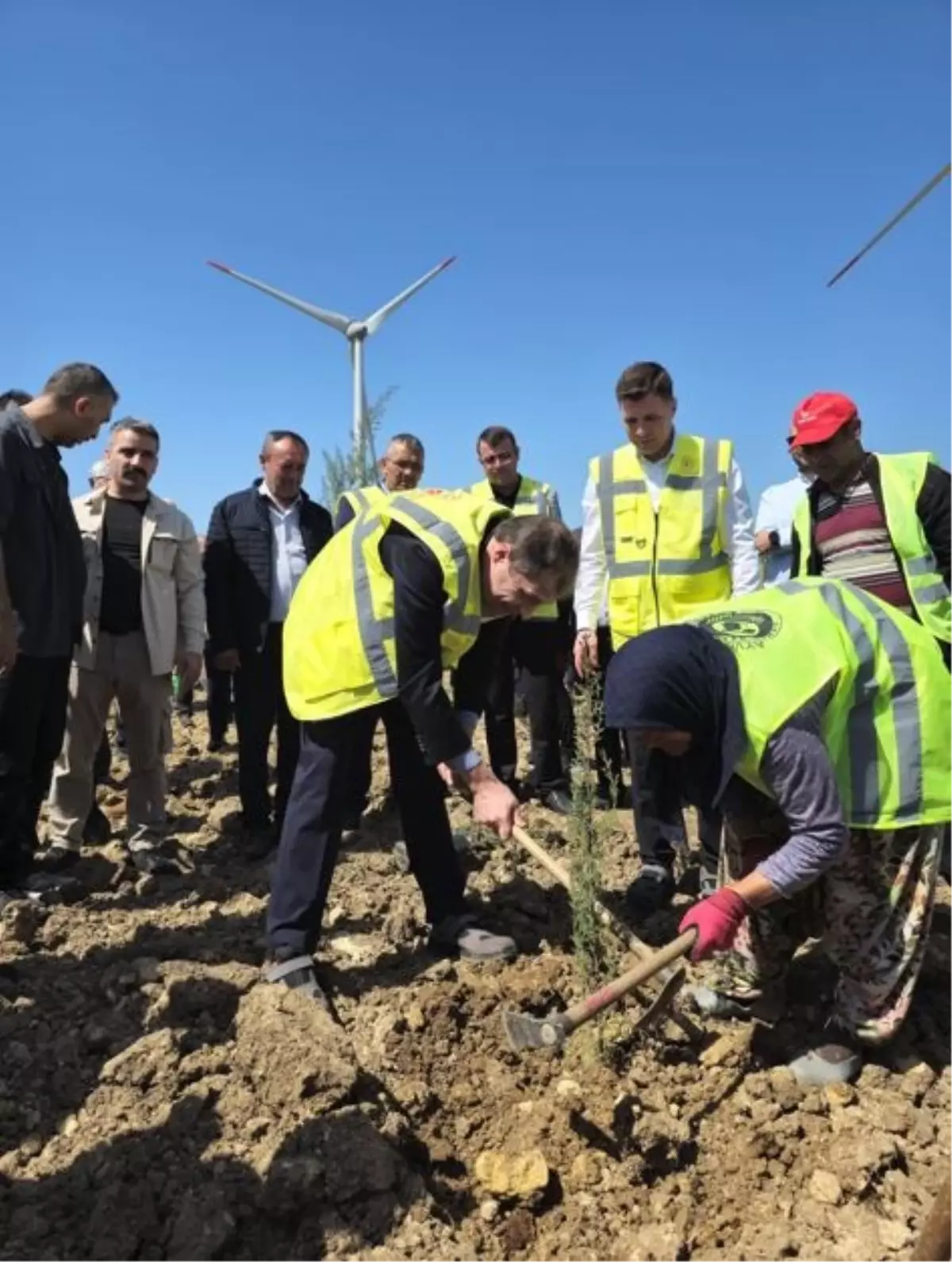 Çanakkale'de Orman Yangını Sonrası 100 Bin Fidan Dikimi