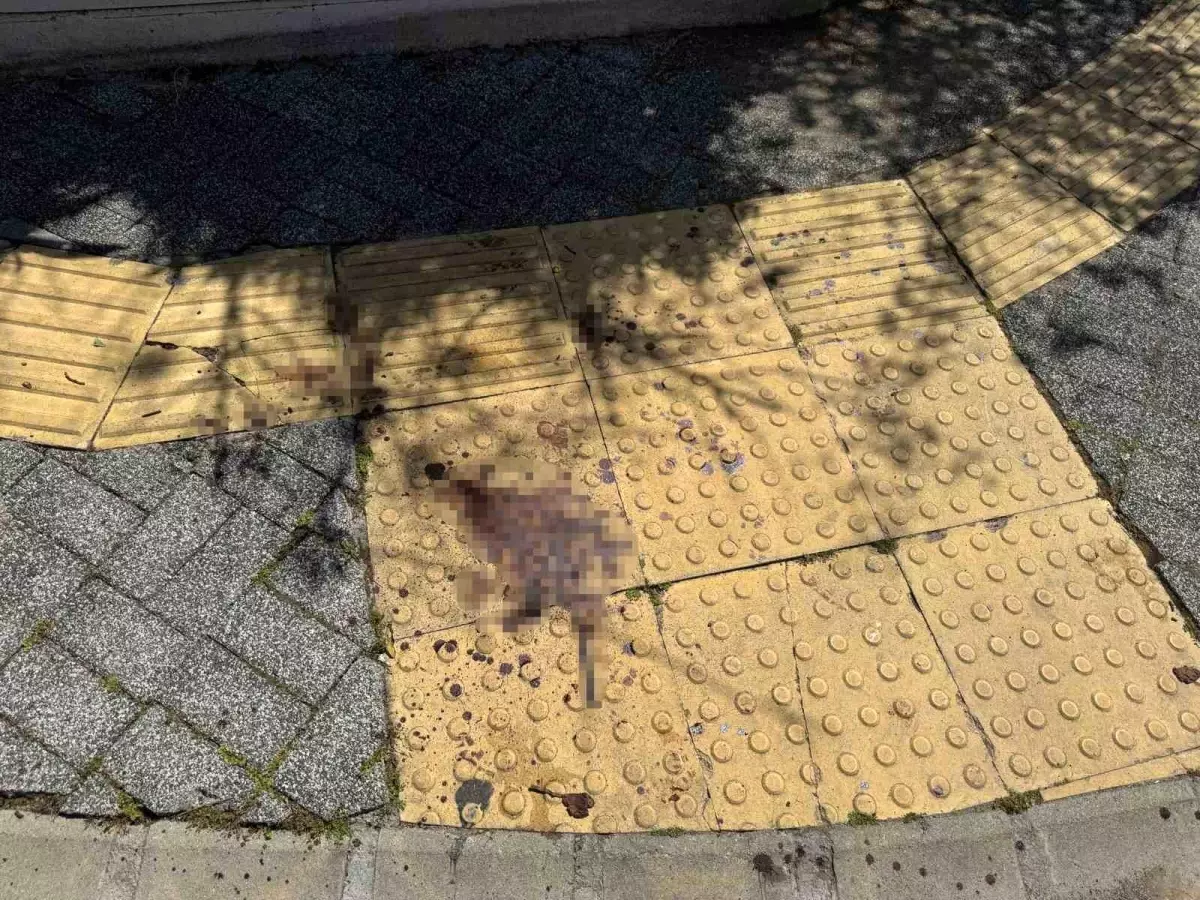 Marmaris'te Gazeteci Murat Ersan'a Saldırı: 5 Gözaltı