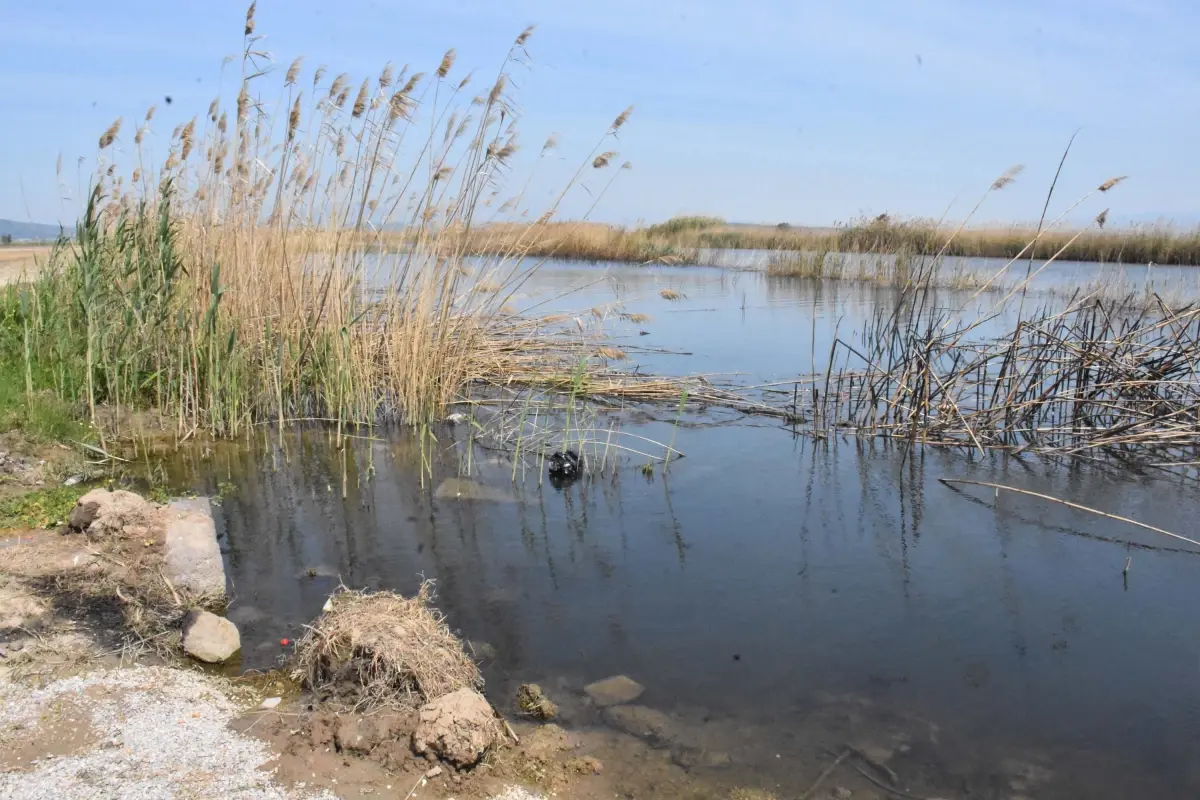 Gediz Nehri'ndeki Kirlilik Tarım ve Sağlığı Tehdit Ediyor