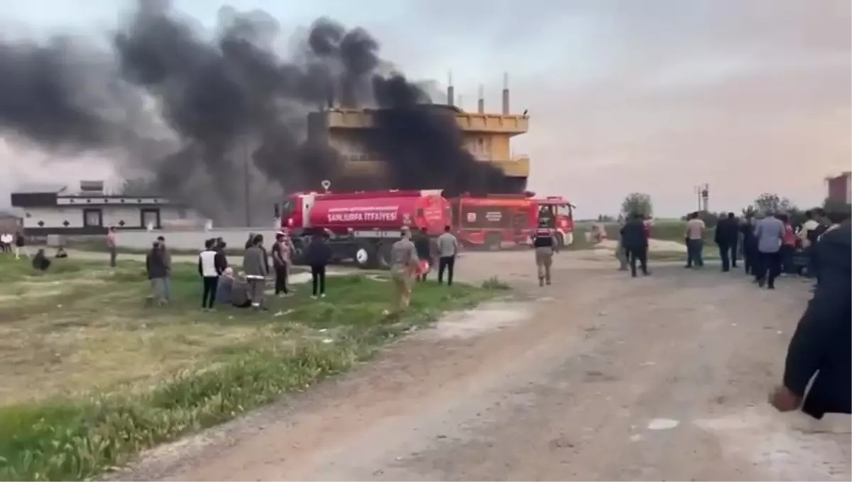 Viranşehir'de Silahlı Saldırı Sonrası Olaylar: Bir Genç Hayatını Kaybetti