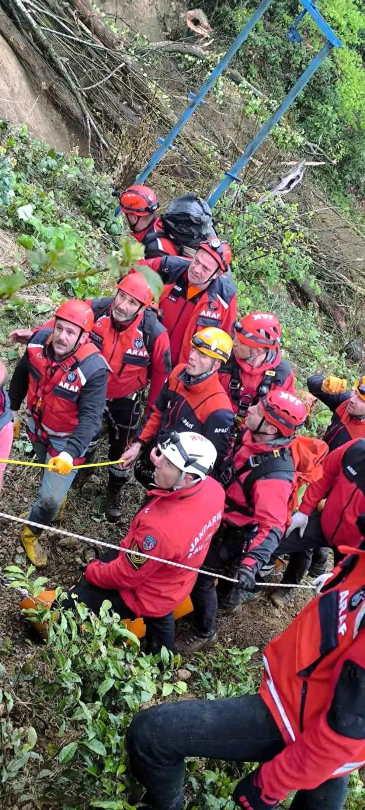 Rize'de Ağaç Kesimi Sırasında Felaket: Muhtar Hayatını Kaybetti