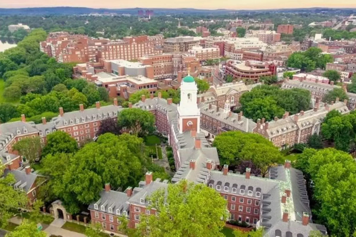 Harvard Üniversitesi'nde silah sesleri