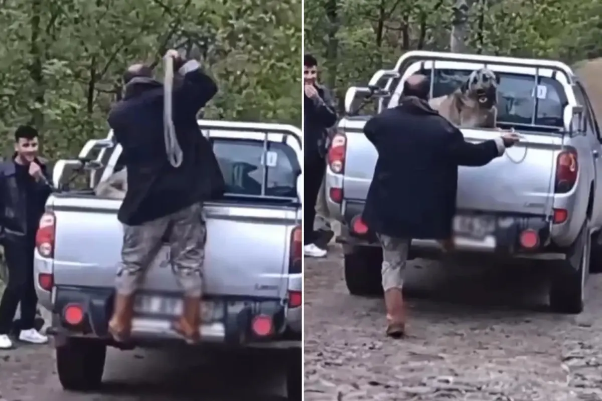 Kamyonet kasasındaki köpeği halatla dövdü