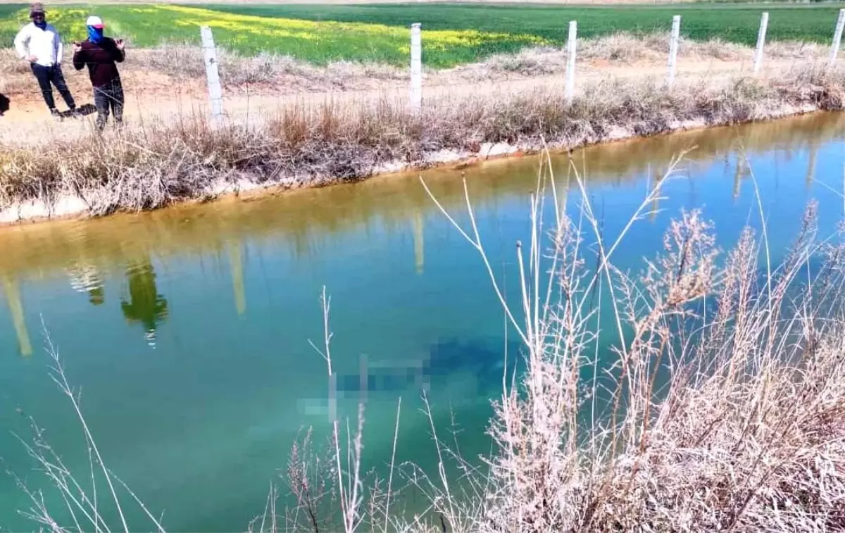 Şanlıurfa'da Kaybolan Çocuğun Cesedi Sulama Kanalında Bulundu