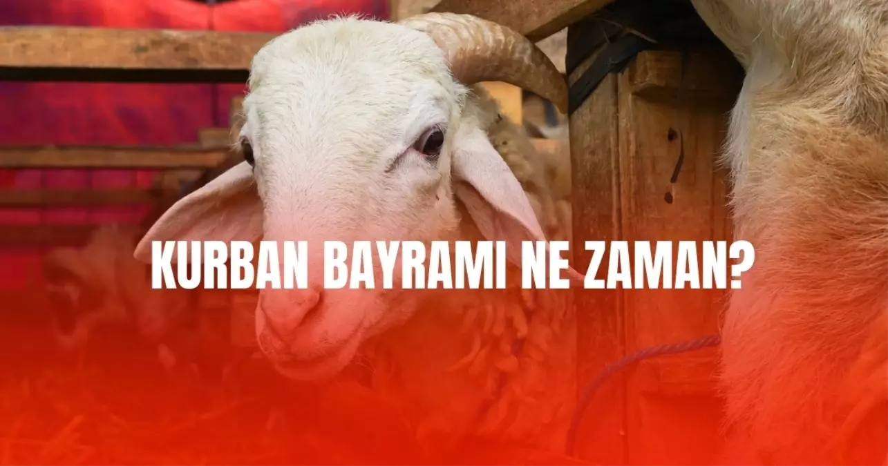 Kurban Bayramı ne zaman? Diyanet takvimine göre Kurban Bayramı hangi tarihte? İşte 2025 Kurban Bayramı tarihi ve günleri!