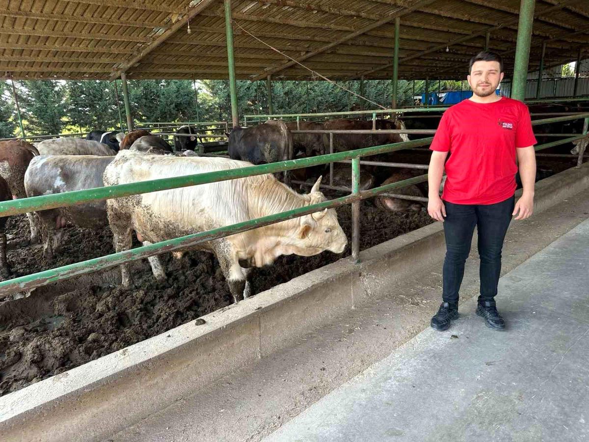 Kurban Bayramı Öncesi Fiyatlar Belli Oldu