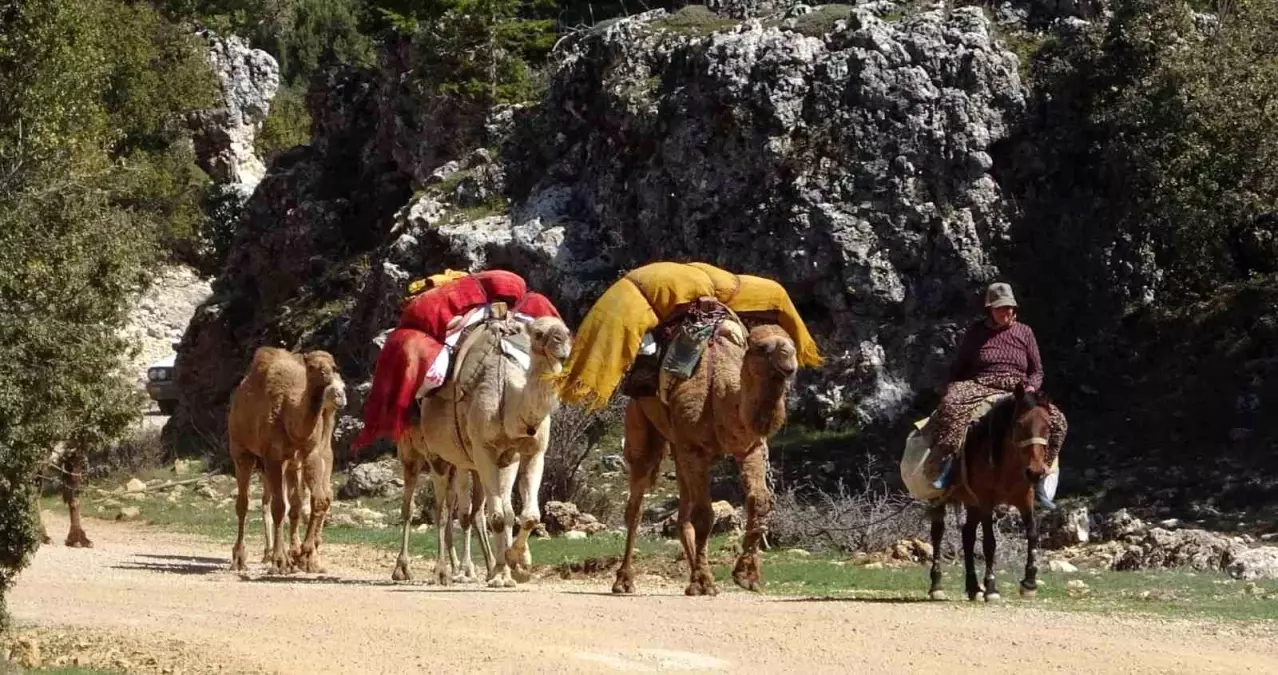 Sarıkeçili Yörükleri'nin Geleneksel Göç Yolculuğu Başladı